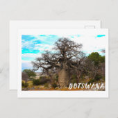 Kubu Island Baobab Tree Baobabs Botswana Landschaf Postkarte (Vorne/Hinten)