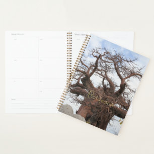 Kubu Island Baobab Tree Botswana Landschaft Planer