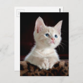 KÜCHE: EINGANGSPUNKT ~ POSTKARTE (Vorne/Hinten)