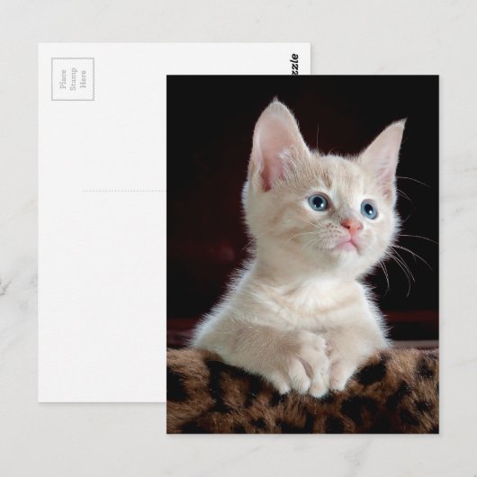 KÜCHE: EINGANGSPUNKT ~ POSTKARTE (Vorne/Hinten)