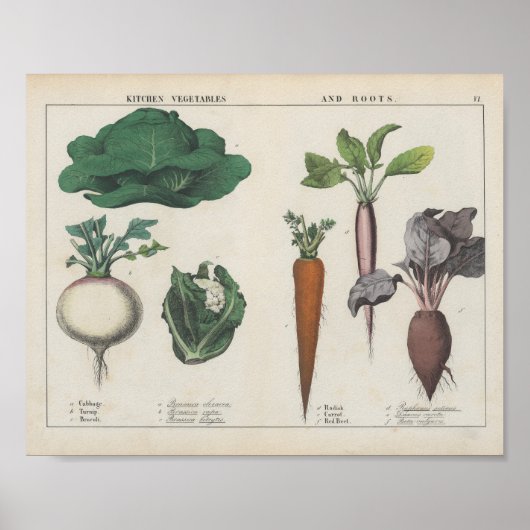 Küche Gemüse | Charlotte Mary Yonge Poster (Vorne)