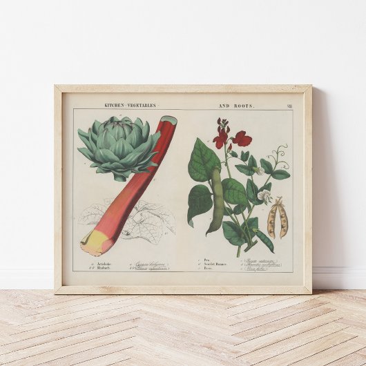 Küche Gemüse | Charlotte Mary Yonge Poster