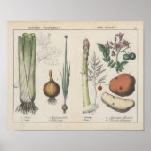 Küche Gemüse | Charlotte Mary Yonge Poster (Vorne)