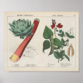 Küche Gemüse | Charlotte Mary Yonge Poster (Vorne)