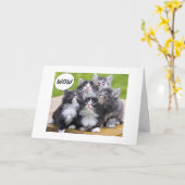 KÜCHE KÖNNEN NICHT GLAUBEN, DASS SIE "ÜBER DEM HÜG KARTE (Gelbe Blume)