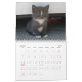 KÜCHE, KÜCHE, KÜCHE! KALENDER (Mär 2027)