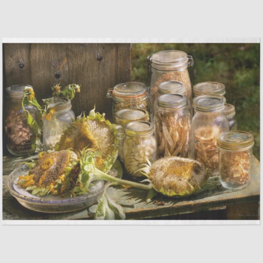 Küche - Rettend Saatgut Seidenpapier (Vorderseite)