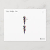 Küche Shelf Weinflaschen Weinflaschen Geschirr Postkarte (Rückseite)