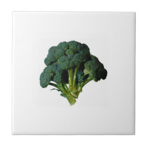 KÜCHEN-FLIESEN-BROKKOLI MIT ZUSAMMENPASSENDEN FLIESE