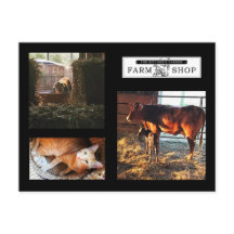 Küchen Garden Collage Postcard