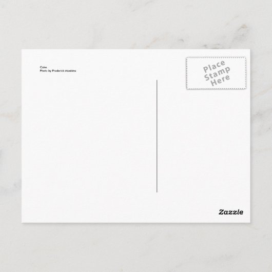 Kuchen Postkarte (Rückseite)