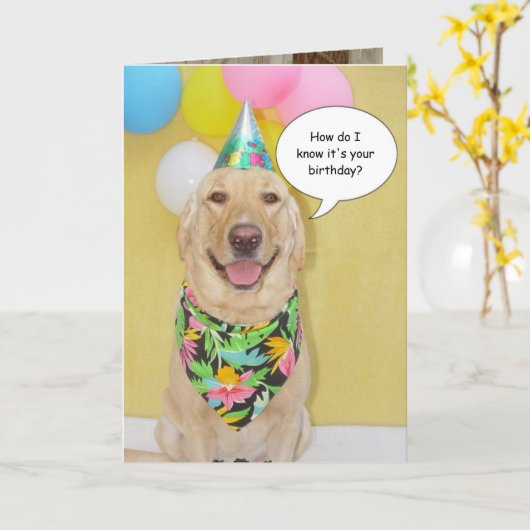 Kuchen-Schnüffelnhund Karte (Gelbe Blume)