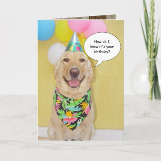 Kuchen-Schnüffelnhund Karte