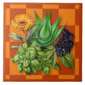 Küchenakzentfliese mit Heilkräutern Fliese (Vorderseite)