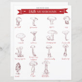 Küchenführer: Essbare Pilze (Vorne/Hinten)