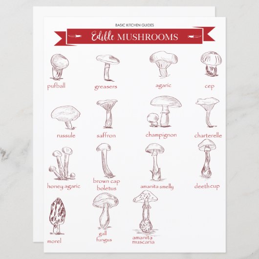 Küchenführer: Essbare Pilze (Vorne/Hinten)