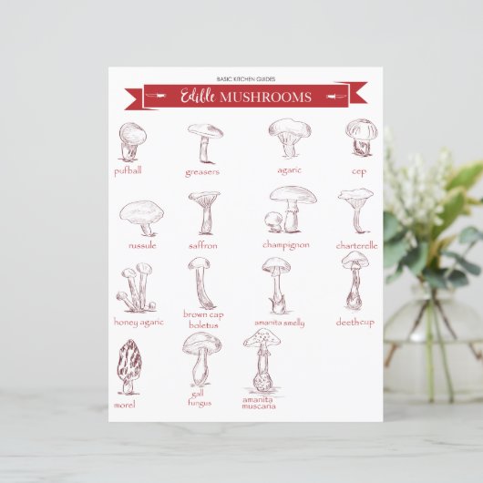 Küchenführer: Essbare Pilze (Stehend Vorderseite)