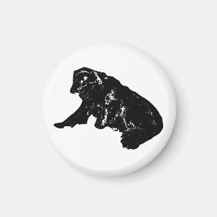 Küchengalerie: Feather-Schwanz Retriever Magnet