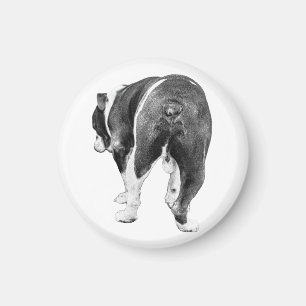 Küchengalerie, Schattierter Bulldog Magnet