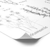 Küchenküche Küchenkraut Rosemary Basil Marjoram Poster (Ecke)