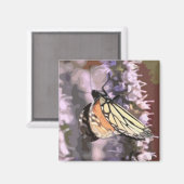 Küchenmagnet mit Schmetterling auf der hyssop Blum Magnet (Vorderseite/Rückseite)