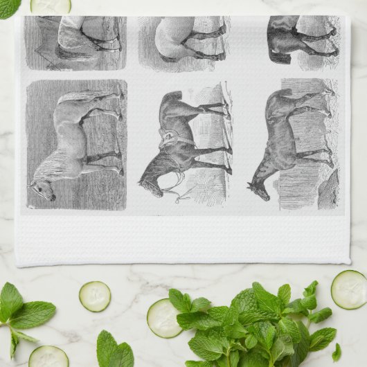 Kuchenpferdekor Geschirrtuch (Gefaltet)