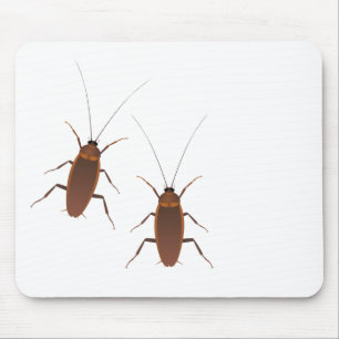 Küchenschabe Insekt Mousepad