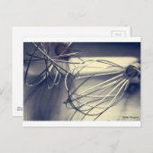 Küchenschnepfe Postkarte (Vorne/Hinten)