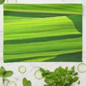 Küchentuch Grüne Maisæ (Gefaltet)