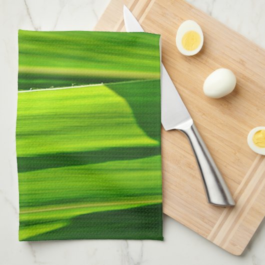 Küchentuch Grüne Maisæ (Viertel Falte)