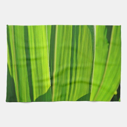 Küchentuch Grüne Maisæ (Horizontal)