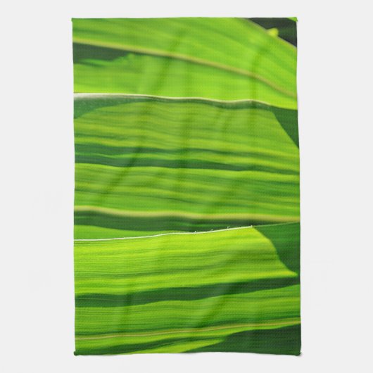 Küchentuch Grüne Maisæ (Vertikal)