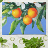 Küchentücher (Gefaltet)