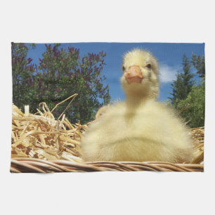 Küchentücher, Ferien, Zuhause, lustige Tiergänse Geschirrtuch