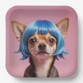 Küchentücher Pappteller (Vorderseite)