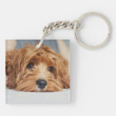 Kuddelhund Acrylic Schlüsselanhänger (Rückseite)