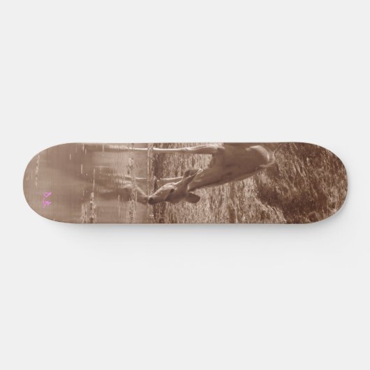 Kudu am Wasser Skateboard (Horizontal)