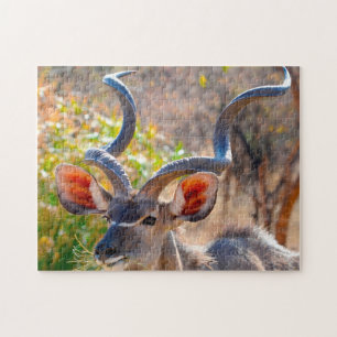 Kudu Botswana. Puzzle