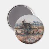 Kudu Bull in Savannah Magnet (Vorderseite/Rückseite)