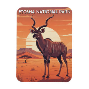 Kudu im Etosha Nationalpark Namibia Reise Magnet