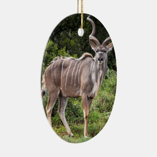 Kudu. Keramikornament (Rechts)