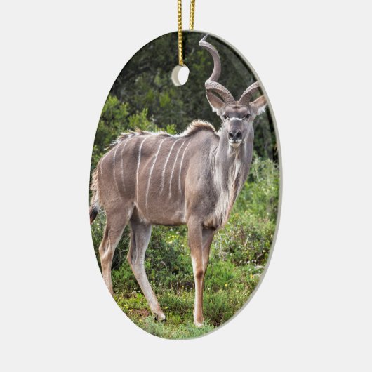Kudu. Keramikornament (Links)