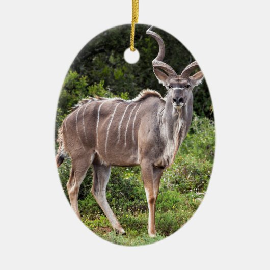 Kudu. Keramikornament (Vorne)