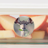 Kudu portrait etiketten (Befestigt)