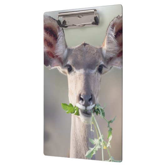Kudu-Portrait Klemmbrett (Links)