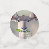 Kudu-Portrait Konfetti (Klein Vorderseite)