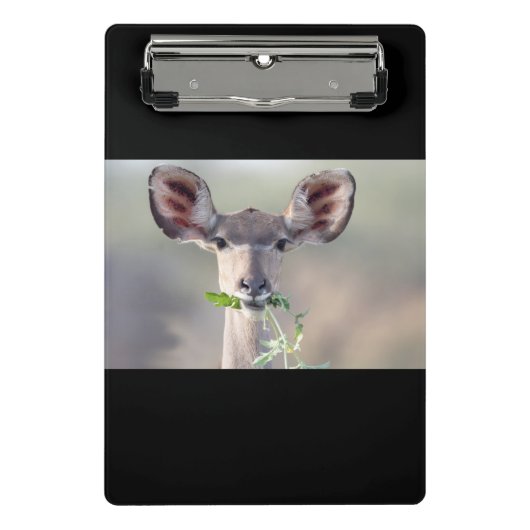 Kudu-Portrait Mini Klemmbrett (Vorderseite)