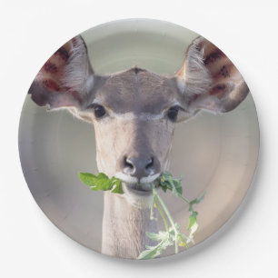 Kudu-Portrait Pappteller