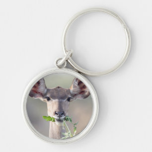 Kudu-Portrait Schlüsselanhänger