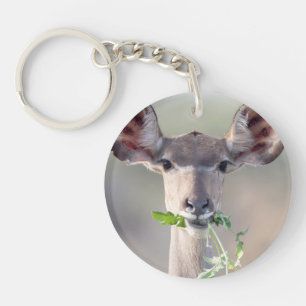 Kudu-Portrait Schlüsselanhänger